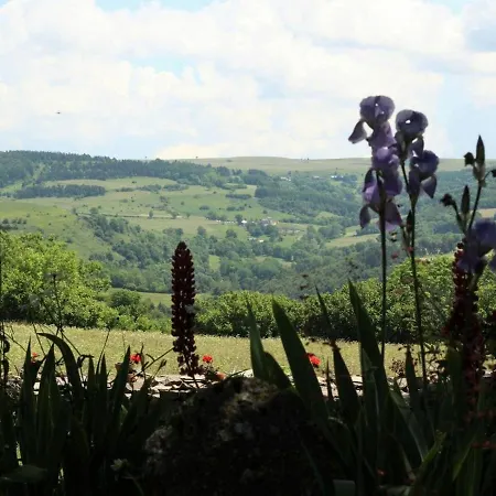 Location Authentique Avec Cheminee Et Toit De Chaume, Proche Nature Et Activites A St-front - Fr-1-582-291 Holiday home