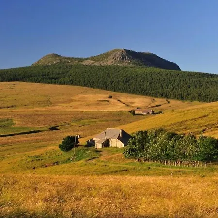 Location Authentique Avec Cheminee Et Toit De Chaume, Proche Nature Et Activites A St-front - Fr-1-582-291 * Saint-Front (Haute-Loire)